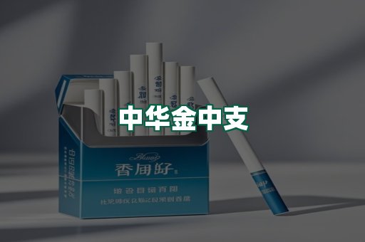 中华金中支